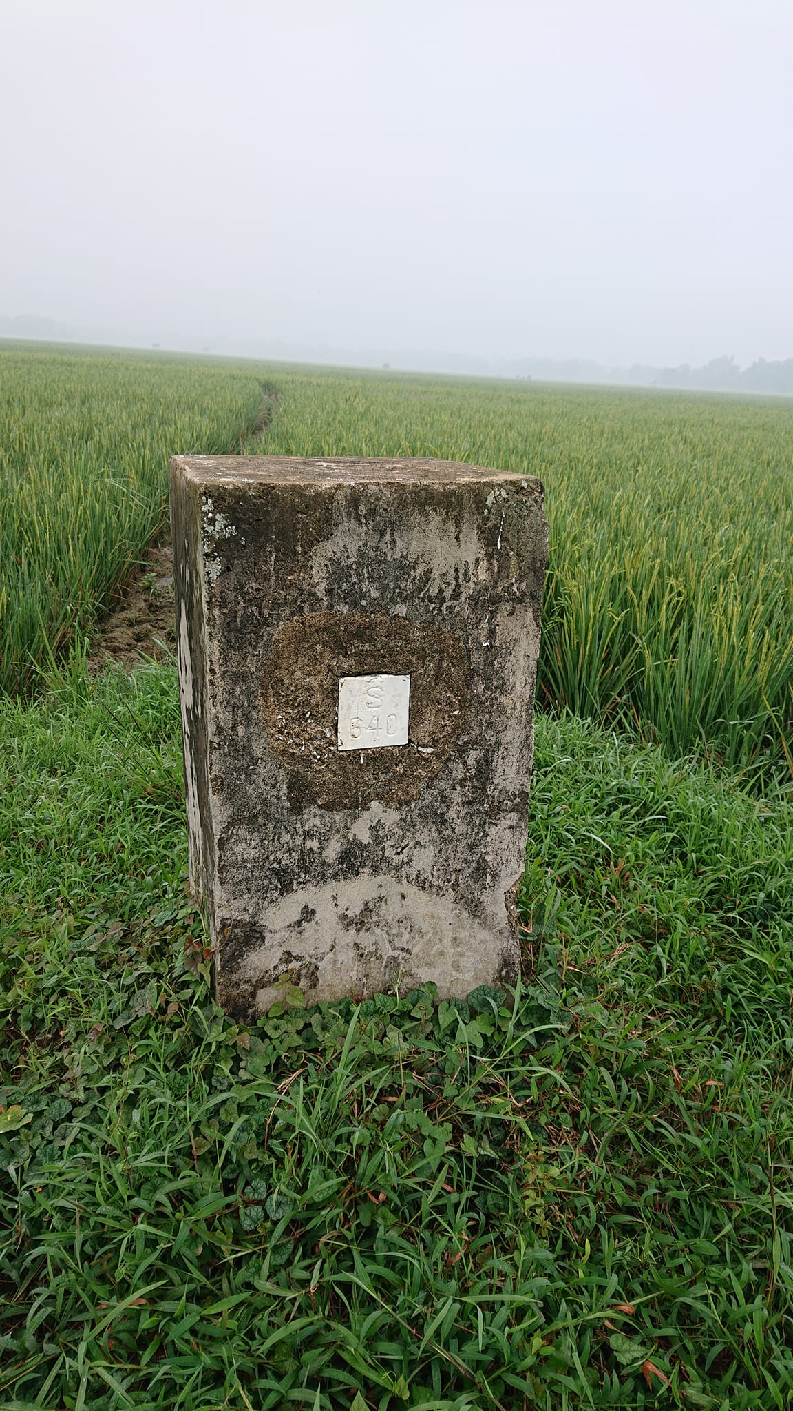 Tugu Triangulasi di Ujung Timur Bangilan